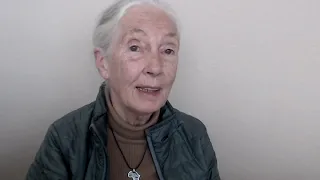 Dr. Jane Goodall's Remarks for the 2018 International Conference on Family Planning