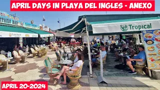 Gran Canaria🌴APRIL DAYS IN PLAYA DEL INGLES - APRIL 2024