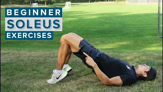 4 Beginner Soleus Muscle Strengthening Exercises