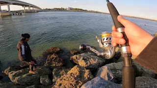 Blue Fish Frenzy Sebastian Inlet