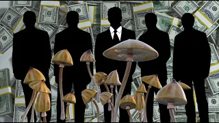 The 'Psychedelic Renaissance' Is Entirely About Corporate Greed