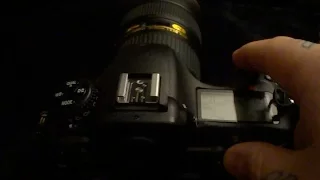 Nikon D500 SHUTTER SOUND compared. Conclusions on the D500; She's a sexy beast!