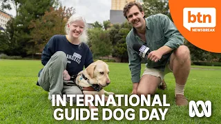 What is International Guide Dog Day?