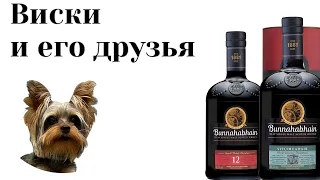 дегустация Bunnahabhain Stiuireadair