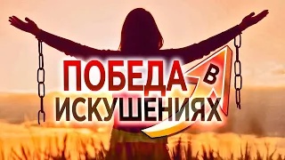 #178 Победа в искушениях - Алексей Осокин - Библия 365 (2 сезон)