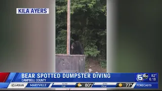 Bear spotted dumpster diving
