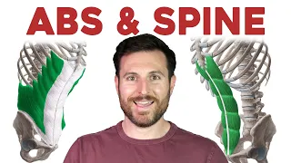 How to Remember Every Muscle in the Back and Abdomen | Corporis