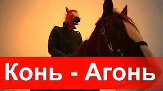 Обзор Новогодний - КоньАгонь