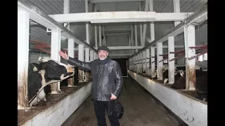 На ферме-сыроварне "Деревня" ноябрь 2017