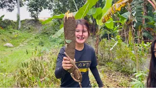 Simpleng buhay sa Probinsya PART 2 | Nagluto ng balinghoy at Kare kareng puso ng saging