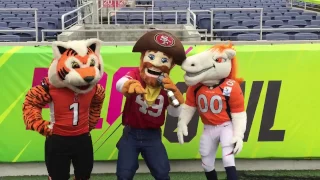 NFL Mascots - On A Float