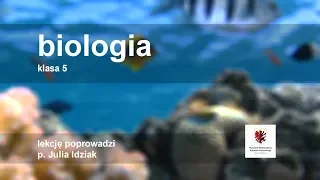 Klasa 5 - Biologia - budowa i funkcje korzenia | szkoła