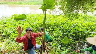 ทึ่ง เพิ่งรู้ว่าผักตบชวาส่งออกญี่ปุ่นได้ สร้างรายได้หลักแสน | เอิร์ธสดชื่น สร้างอาชีพ