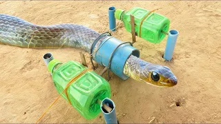 Easy Snake Trap Creative Method DIY Snake Trap Using Deep & Pipe  That Work 100