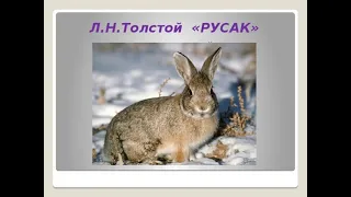 Аудиокнига Русак Лев Толстой