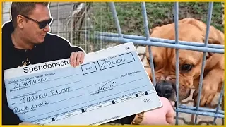 10.000€ für das TIERHEIM Rastatt!