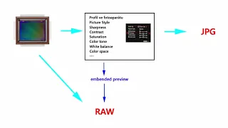 Proč fotografie ve formátu RAW nevypadá stejně jako v JPG?