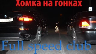 Хомка на гонках: full speed club Минск