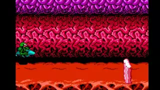 Battletoads NES: Level 3 - Turbo Tunnel