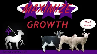 Maximizing Growth in Sheep and Goats!  Learn Here First!