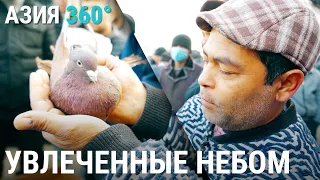 Голуби Андижана. Увлечённые небом | АЗИЯ 360°