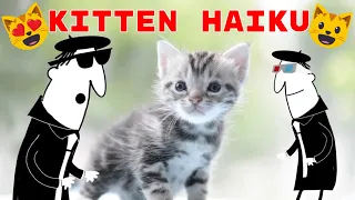 Hai & Ku - Kitten Haikus #haiku #HAIandKU #kittenhaiku