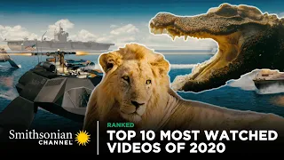 Top 10 Most Watched Videos Of 2020 👀 Smithsonian Channel