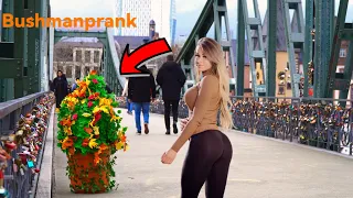 Bushman Prank 2023.bushmanpranks Compilation in Frankfurt.