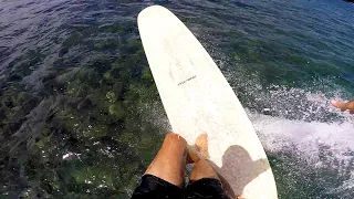 Surfing HAWAII | Single Fin Logging (POV) Over Shallow Reef