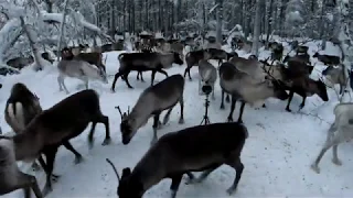 Sound samples for the REINDEER sound library