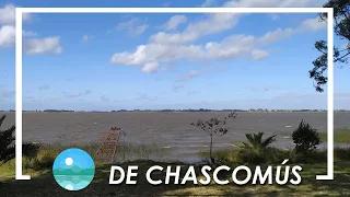 🌅🌬 Laguna de CHASCOMÚS + Bonus (Urbex) - Buscando Fauna en la provincia de Buenos Aires 🌬🌅