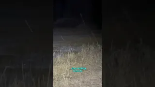 Something in the Woods was Haunting Him... Footage by Fowl_mitten_outdoors #scary #paranormal