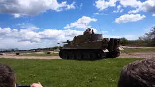 Tiger Day 2016 -  Tiger 131 in action