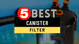 Best Canister Filter 2024 🔶 Top 5 Canister Filter Reviews