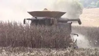 CAT Lexion 595R Harvesting Corn