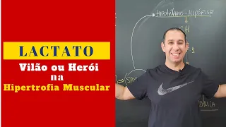 Lactato: Herói ou Vilão na Hipertrofia Muscular