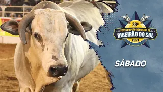 Rodeio de RIBEIRÃO DO SUL 2023 (SÁBADO / MELHORES MOMENTOS)