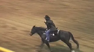 2004 National Western Stock Show Freestyle Reining - Stacy Westfall