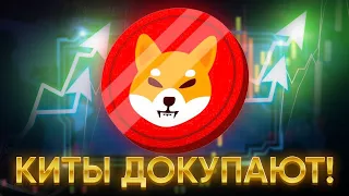 ШИБА ИНУ ЭТО ТОП 1 КОЙН КОТОРЫЕ ДЕРЖУТ КИТЫ!