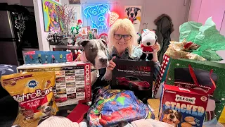 Hudson & Karla Unboxing Christmas Gifts from Extra Good YouTube Member Jaqueline Varlotta & Dorothy