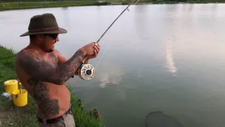 Fly fishing big amur