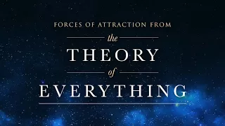 The Theory of Everything - Forces of Attraction | Jóhann Jóhannsson