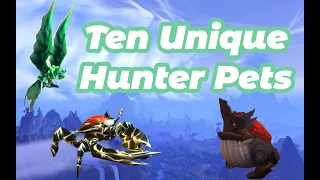 10 Unique Hunter Pet Tames | 4K World of Warcraft | Dragonflight