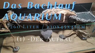 Bachlauf Aquarium: -Der Aufbau! (1) #aquaristik #paludarium #emers #Landteil #aquascape