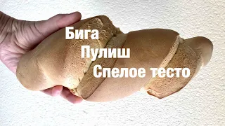 Опара, бига, пулиш или спелое тесто - что и почему?