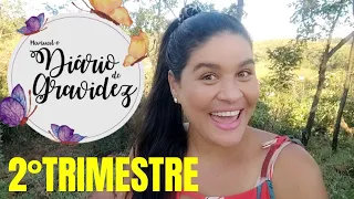 DIÁRIO DE GRAVIDEZ -SEGUNDO TRIMESTRE MEU RELATO#gravida#gravidez#gestante#gestação#laqueadurasus