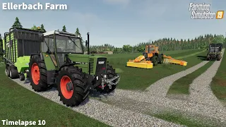 Selling Animals Products, Feeding Sheeps, Plowing│Ellerbach│FS 19│Timelapse#10