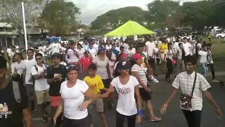 APCO Coatings Colour Explosion Fiji 5.7km walk