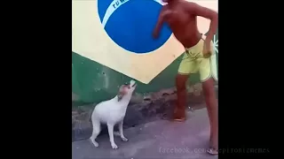 Мальчик танцует с собакой