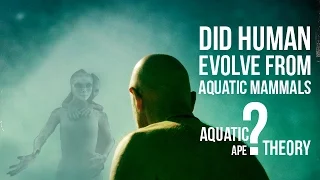 DID HUMAN EVOLVE FROM AQUATIC MAMMALS ?